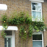 casement window replacement Greenwich