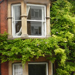 Sash windows in Woodford Green